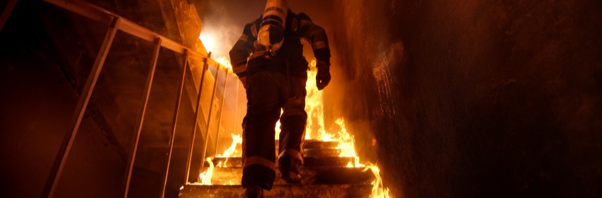 Brandschutzbeschichtungen bestellen